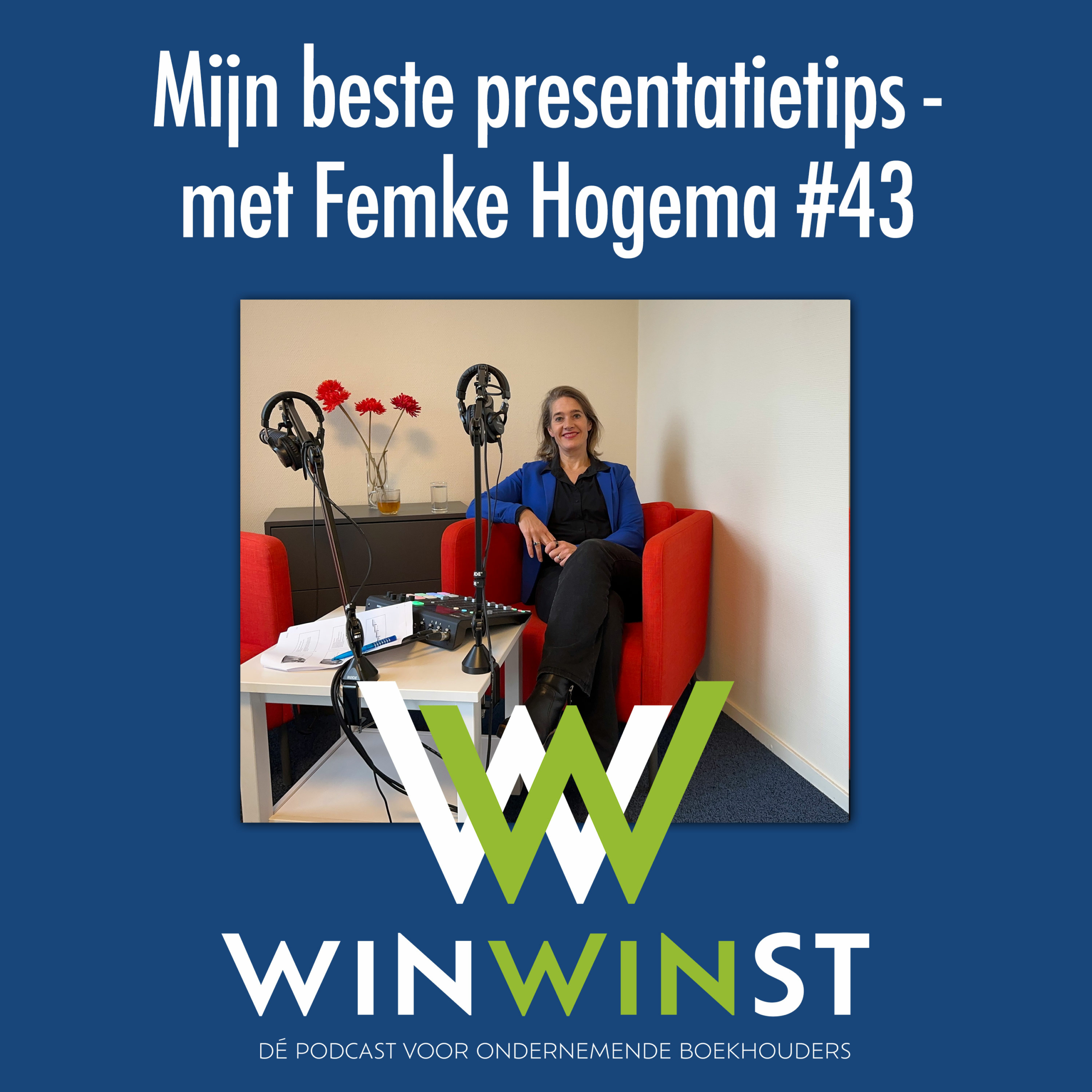 Mijn Beste Presentatietips Met Femke Hogema Profit First Professionals